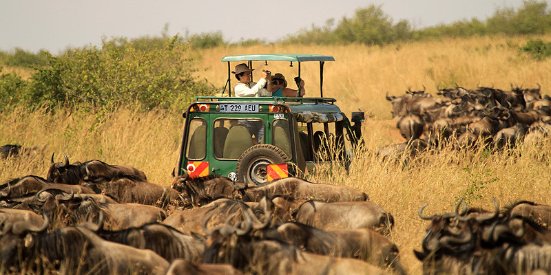 Safaris in Tanzania